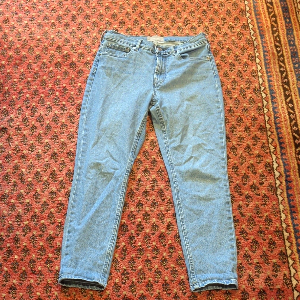 Everlane High Rise Skinny Ankle Jean